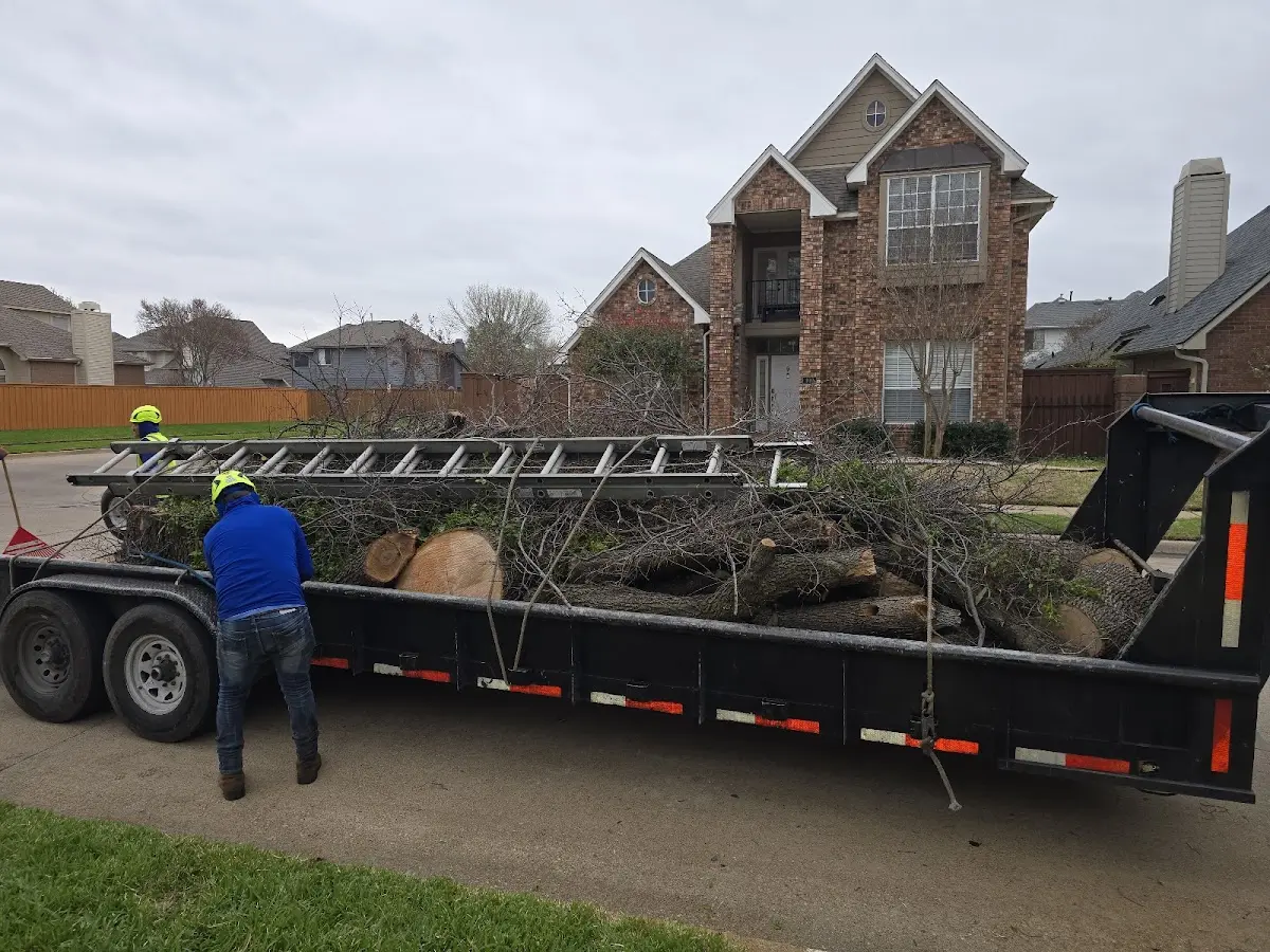 Expert Lot Clearing with proper safety equipment in Cannon